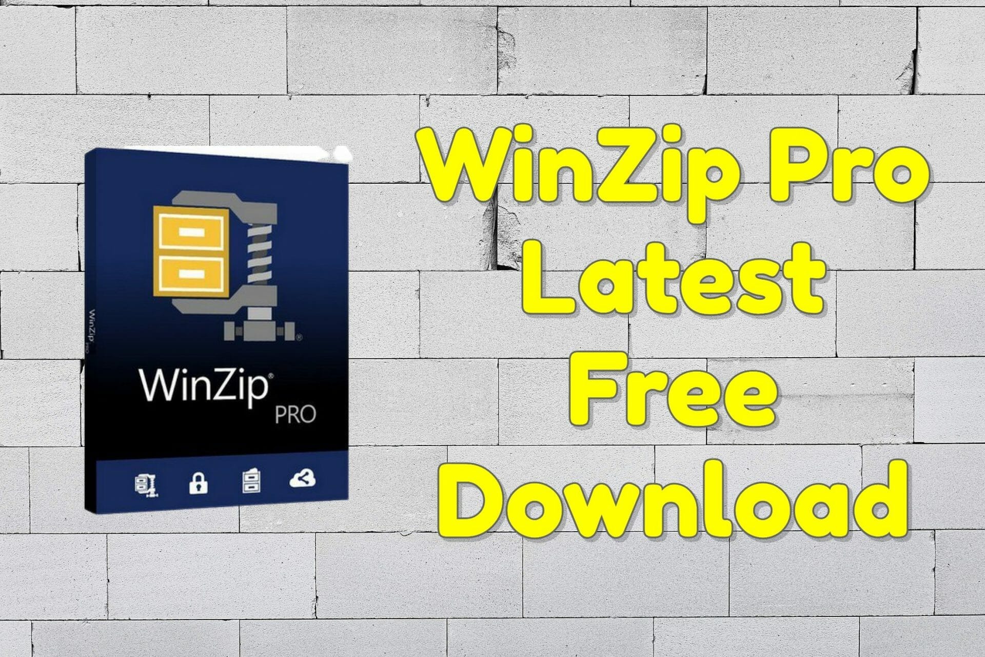 WinZip Pro Free Download