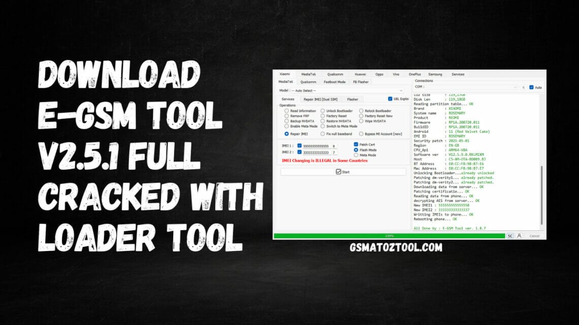 Download EGSM Tool v2.5.1 Full Cracked with Loader Tool